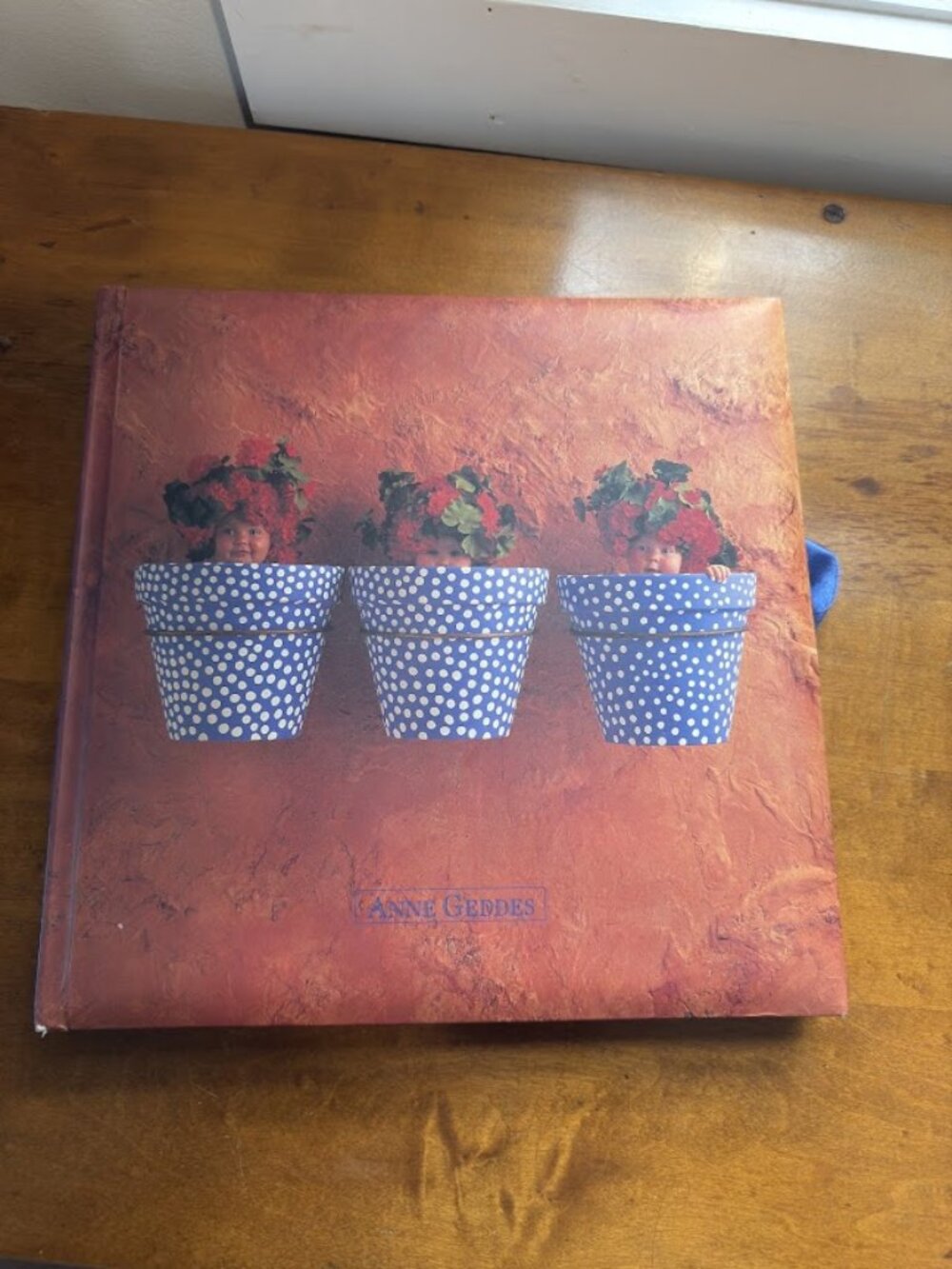 VTG 90s Anne Geddes Picture Book - Coffee Table Book
